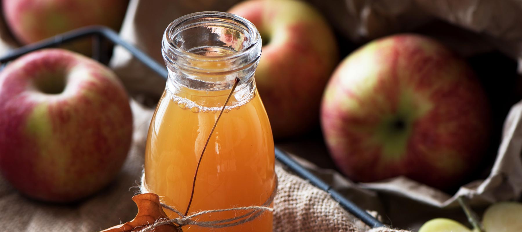 Die saure Rinse – große Liebe von Locken und Kopfhaut