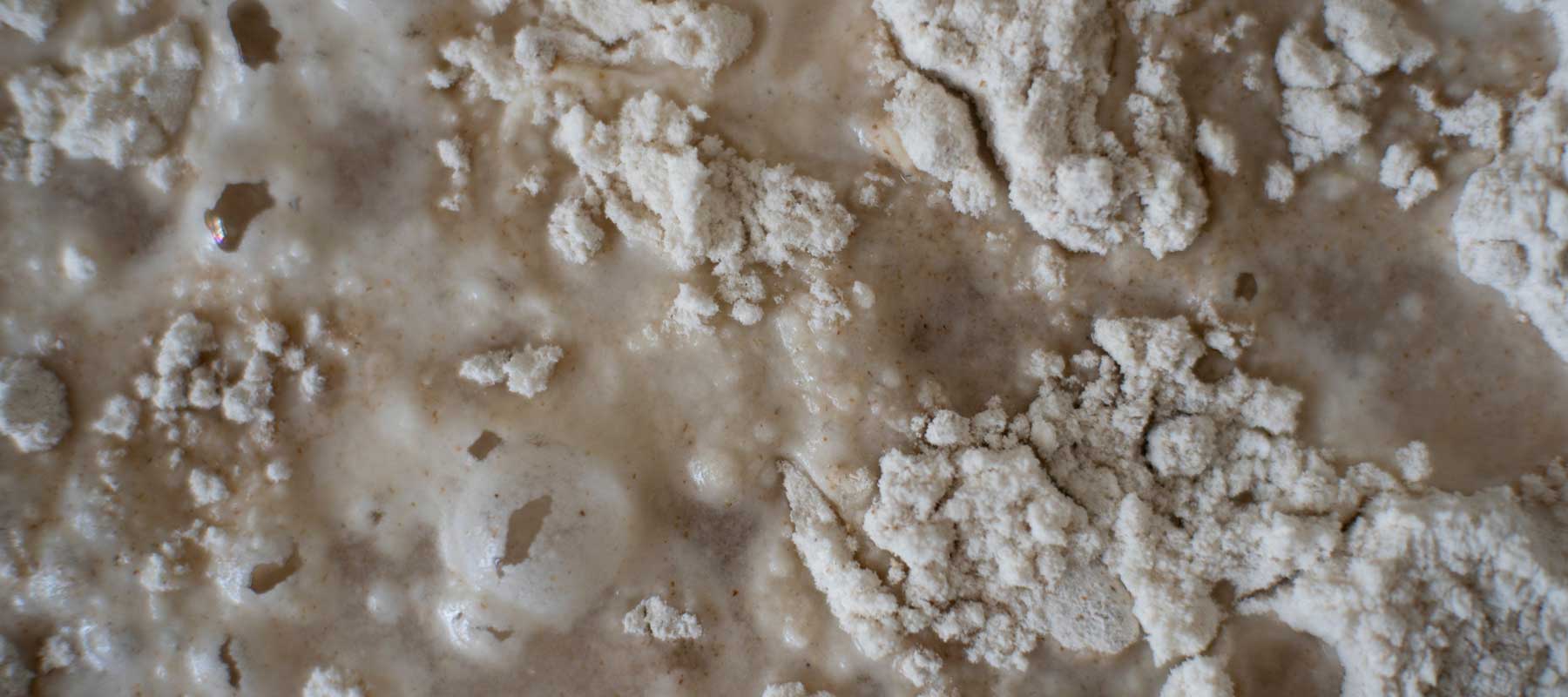 Locken waschen mit Roggenmehl