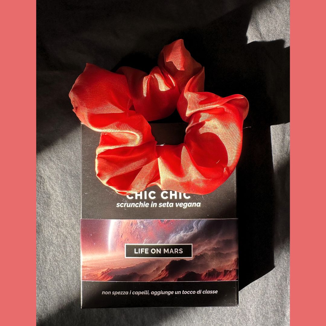 Chic Chic Scrunchie LIFE ON MARS