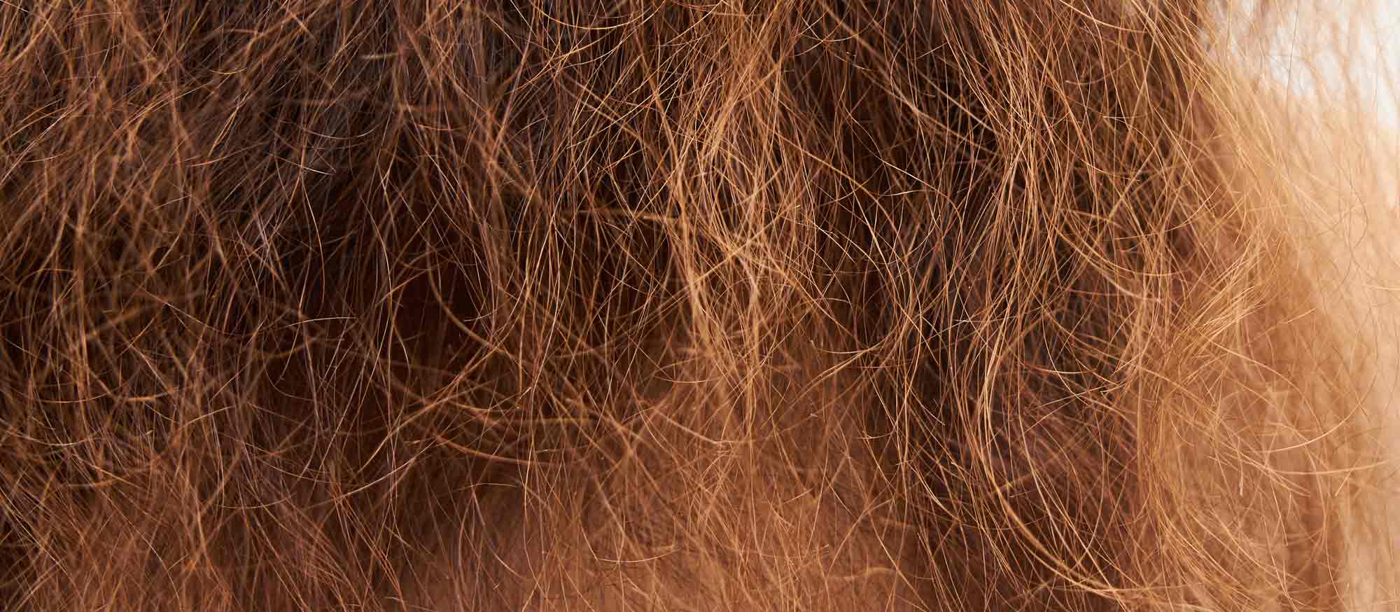 Trockene Spitzen bei Locken und Wellen