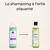 Shampoo à l'Ortie Piquante (Brennnessel) - 250ml